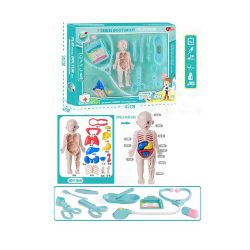 Изображение 030-2 набор игровой доктора (анатомия), в кор. 40003