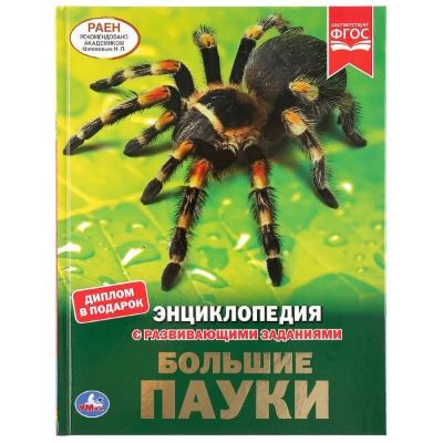 Изображение Энциклопедия с заданиями "Большие пауки", А4, 48 стр, арт.309-6